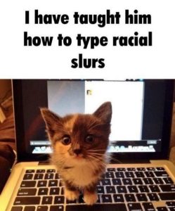 Stupid Bar Memes 4c09fb201a5d5788