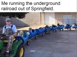 Stupid Bar Memes 52e68941995f6346