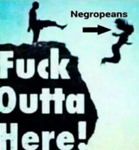 Stupid Bar Memes 539a1558ede65c31
