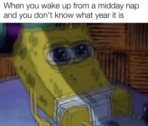 Stupid Bar Memes 66d5c15f5bcec