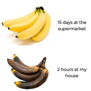 Stupid Bar Memes 66e82ab400d54