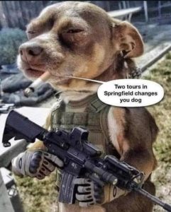 Stupid Bar Memes 9980aaf47ab2590a