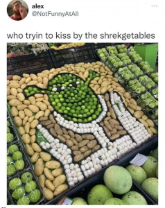 Stupid Bar Memes AUHcACy