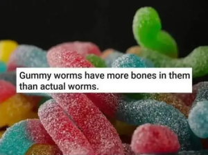 Stupid Bar Memes DARs09s02s24s44s1