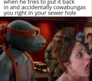 Stupid Bar Memes DARs09s17s24s33s5