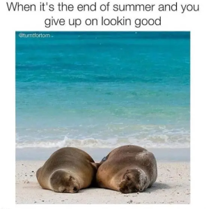 Stupid Bar Memes EwkSC3V