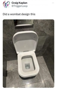 Stupid Bar Memes Pyvzwwz