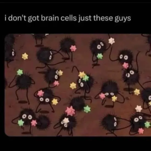 Stupid Bar Memes RVm97UO