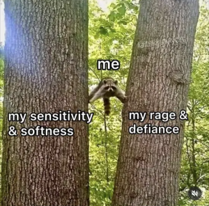 Stupid Bar Memes VrgkN4l