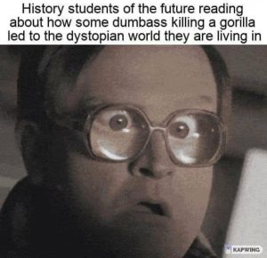 Stupid Bar Memes a97056f11b742e2d