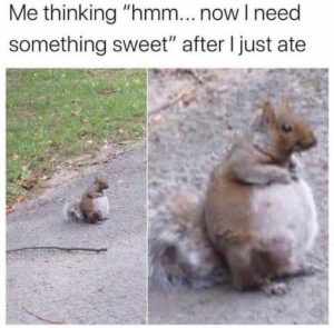 Stupid Bar Memes aa04e29b885d4de2