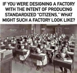 Stupid Bar Memes ac7b12606287cc48