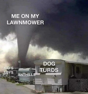 Stupid Bar Memes b082a7fe5d56bde3