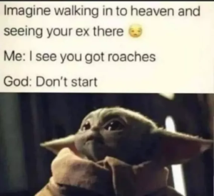 Stupid Bar Memes be94f1babadc5a94