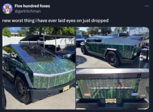 Stupid Bar Memes cBCzSgg
