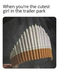 Stupid Bar Memes crD3W6csd