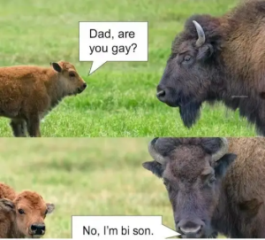Stupid Bar Memes dadsjokessit76rnd1