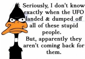 Stupid Bar Memes f537362c977486e6