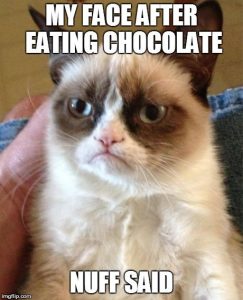Stupid Bar Memes grumpyscatsafterseatingschocolatesmemesbyscomicreadinggamersd8gke66sfullview