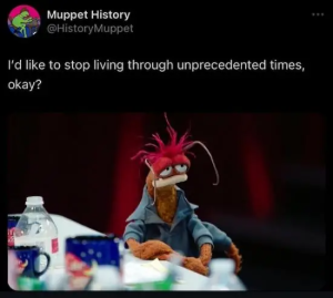 Stupid Bar Memes kna7oWE