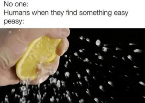 Stupid Bar Memes lemonhingseasyspeasy