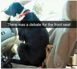Stupid Bar Memes politicallsf7s