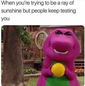 Stupid Bar Memes politicallsh3s