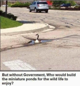 Stupid Bar Memes politicallsk42s