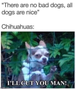 Stupid Bar Memes politicallsn
