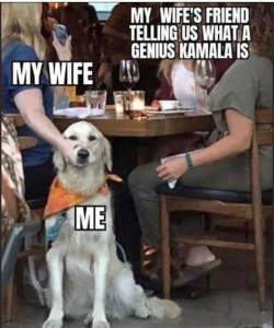 Stupid Bar Memes politicallsn4s