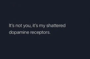 Stupid Bar Memes tY86542