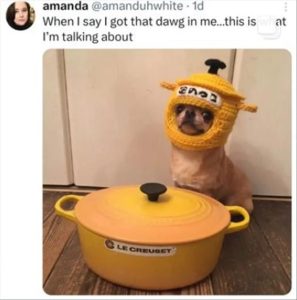 Stupid Bar Memes youresdogss1