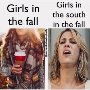 Stupid Bar Memes youresfallsweather
