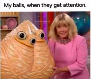 Stupid Bar Memes youresgettingsattention