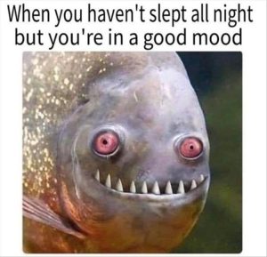 Stupid Bar Memes youresinsasgoodsmood