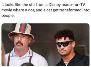 Stupid Bar Memes yourespets