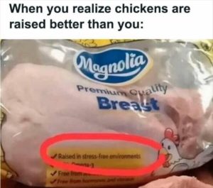 Stupid Bar Memes youresraisingschicken
