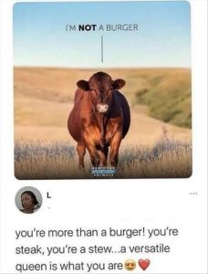 Stupid Bar Memes youreswantingsasburger