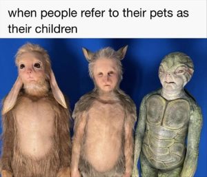 Stupid Bar Memes youreswantingskidss2