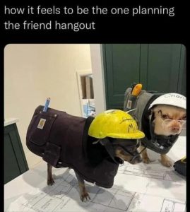 Stupid Bar Memes youreswantingsplanss1