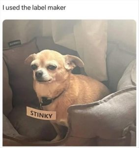 Stupid Bar Memes youreswantingstheslabelsmaker