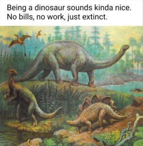 Stupid Bar Memes youreswantingstosbesasdino