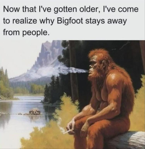 Stupid Bar Memes youresyous1