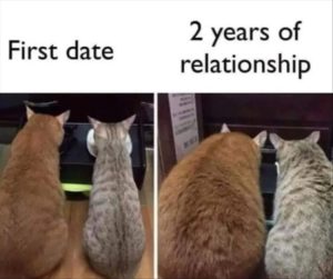 Stupid Bar Memes youresyousdating