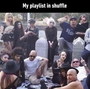 Stupid Bar Memes youresyousonsshuffle
