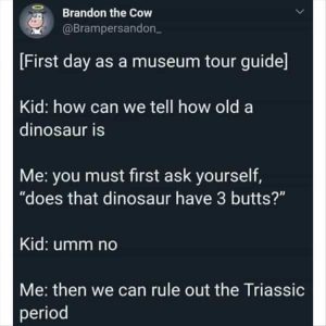 Stupid Bar Memes zsfunnys20