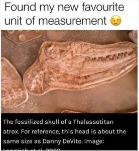 Stupid Bar Memes zsfunnys45