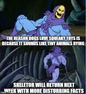 Stupid Bar Memes zsfuns151s1