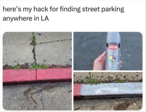 Stupid Bar Memes zsfuns163