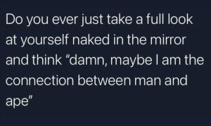 Stupid Bar Memes zsfuns201